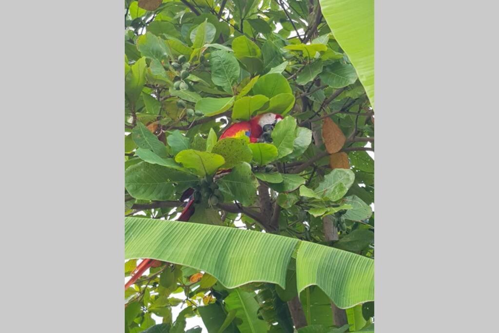 Depto. Maia: A/C, Agua Caliente, Wifi, Tv, Cable. Apartment ปาเลงเก ภายนอก รูปภาพ